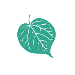Linden Tree Care
